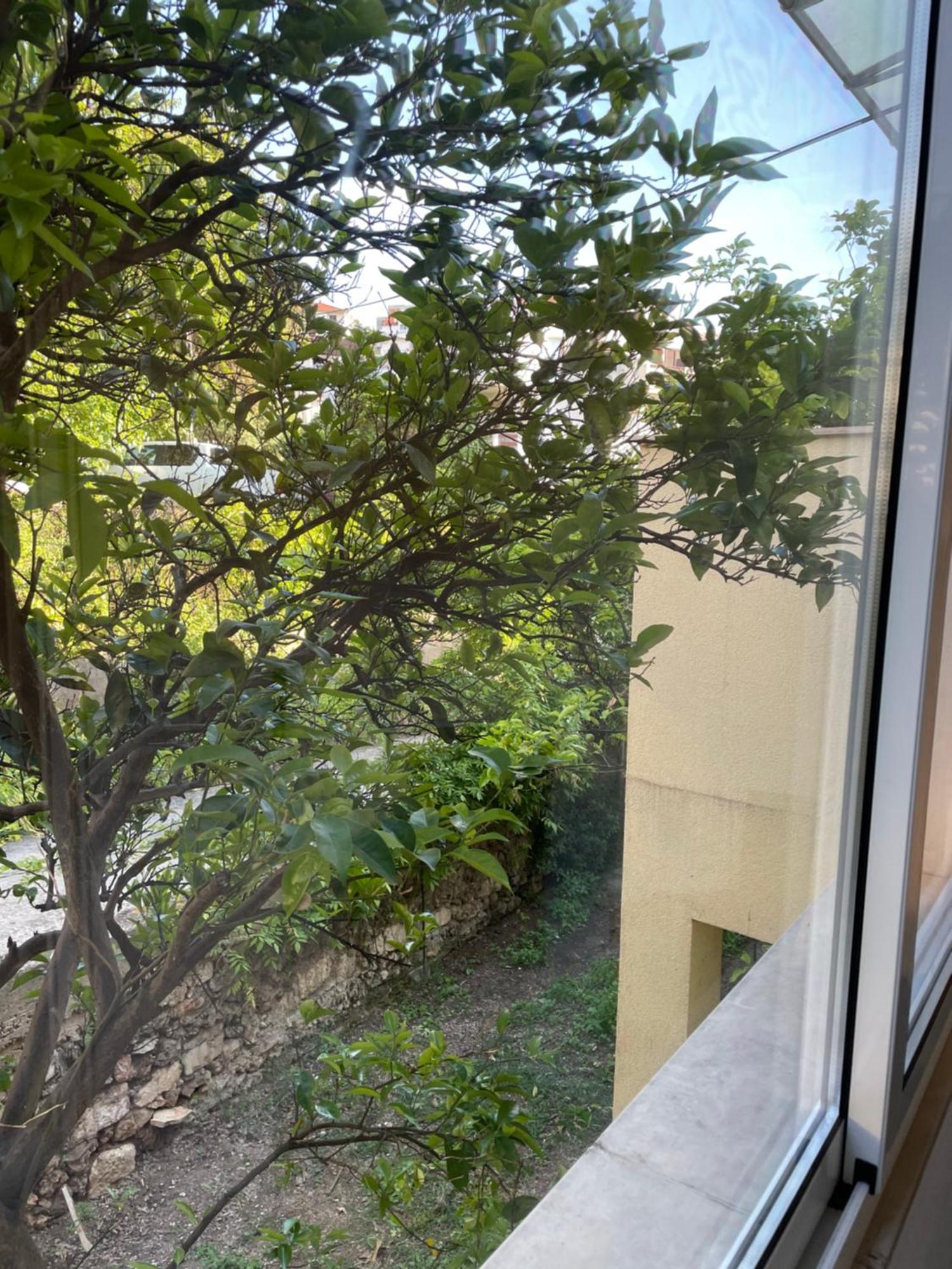 Apartmani Isabella - Ilda Radonic Jelsa  Exterior foto
